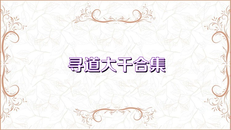 寻道大千合集