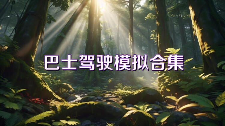 巴士驾驶模拟合集