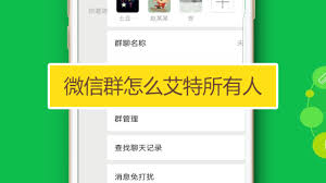 微信怎么艾特所有人