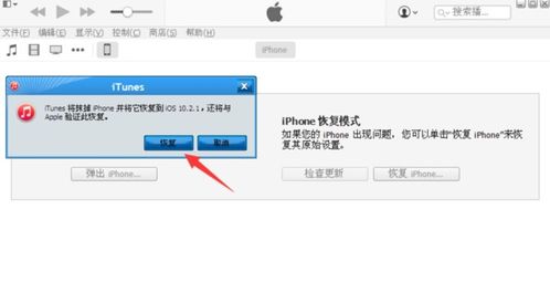 抹除iPhone数据后如何恢复