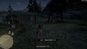 大镖客2如何获取黑衣美人的枪