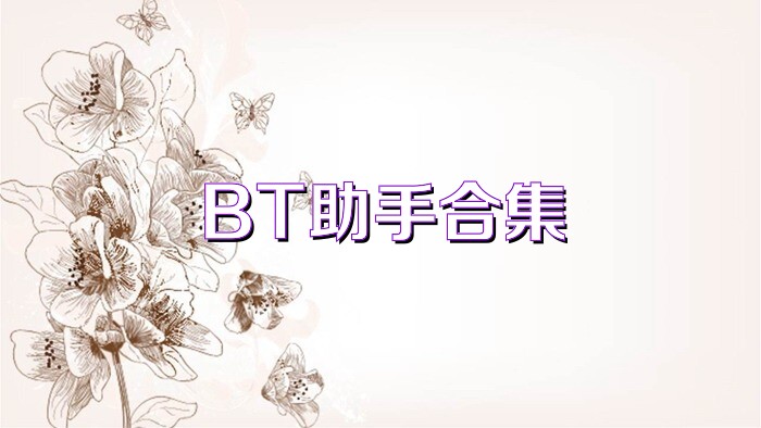 BT助手合集
