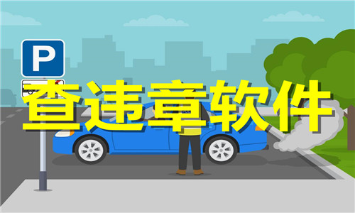 查违章软件大全