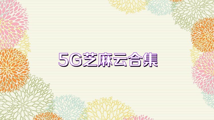 5G芝麻云合集