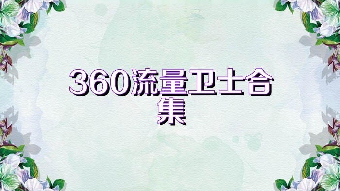 360流量卫士合集