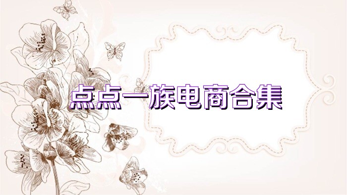 点点一族电商合集