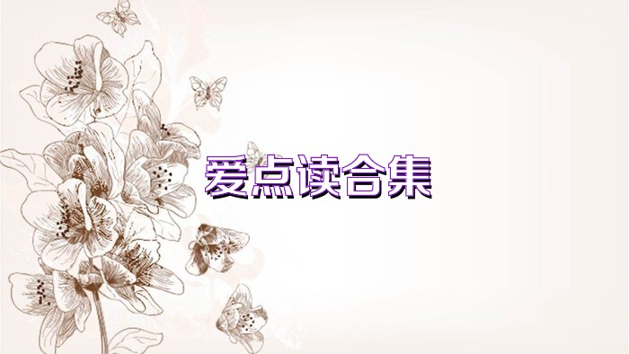 爱点读合集