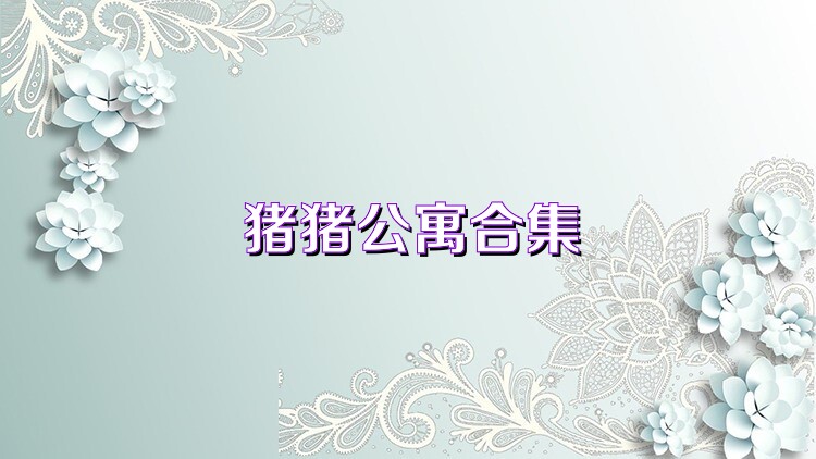 猪猪公寓合集