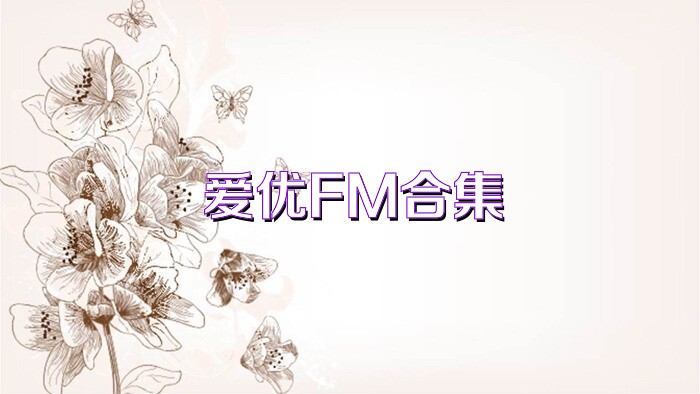 爱优FM合集