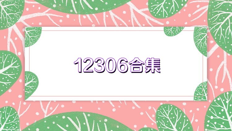 12306合集