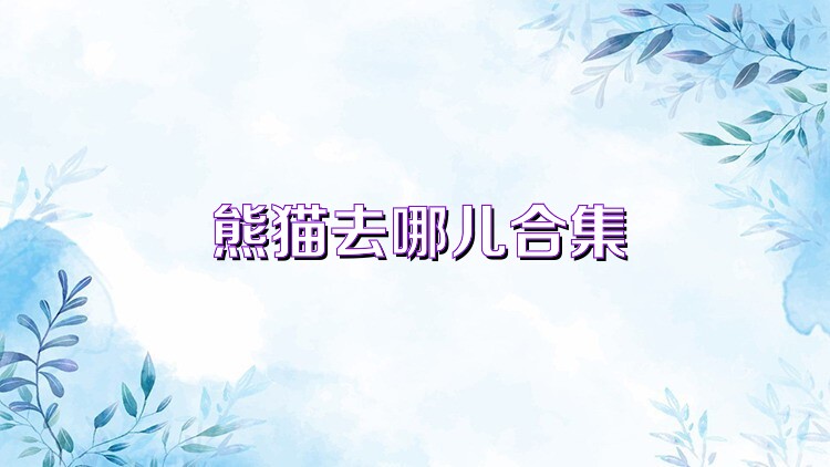 熊猫去哪儿合集