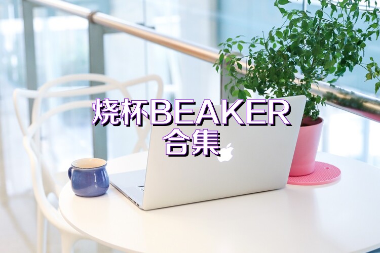 烧杯BEAKER合集