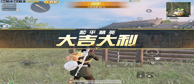 和平精英代打接单软件