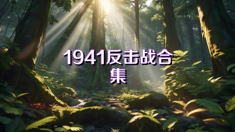 1941反击战合集