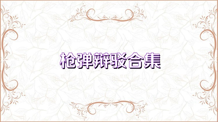 枪弹辩驳合集
