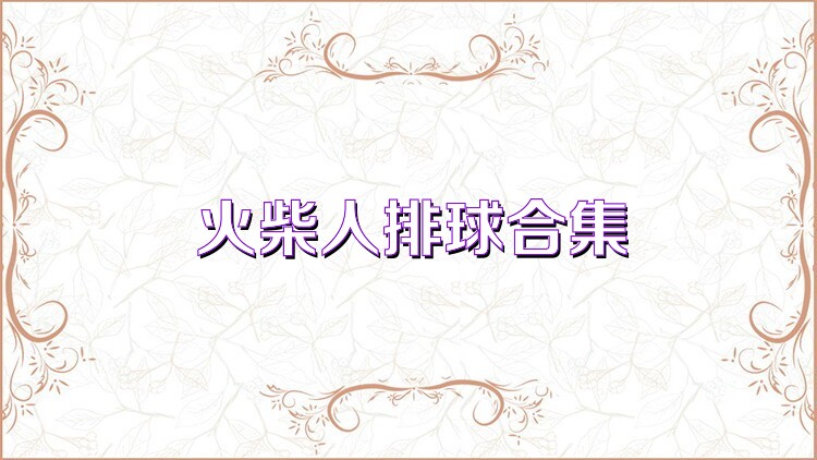 火柴人排球合集