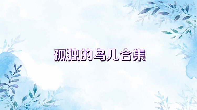 孤独的鸟儿合集