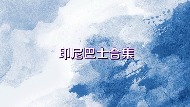 印尼巴士合集