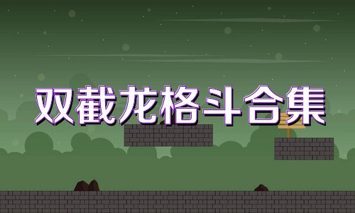 双截龙格斗合集