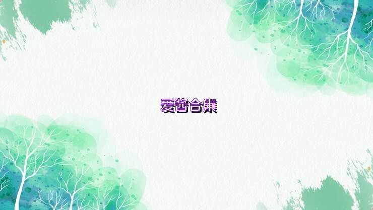 爱酱合集