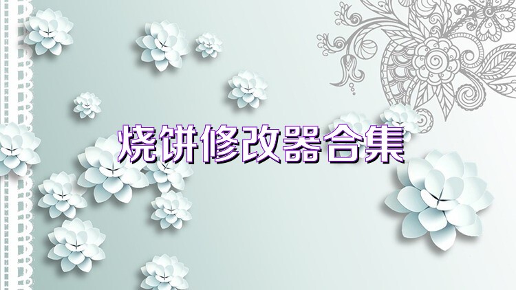 烧饼修改器合集