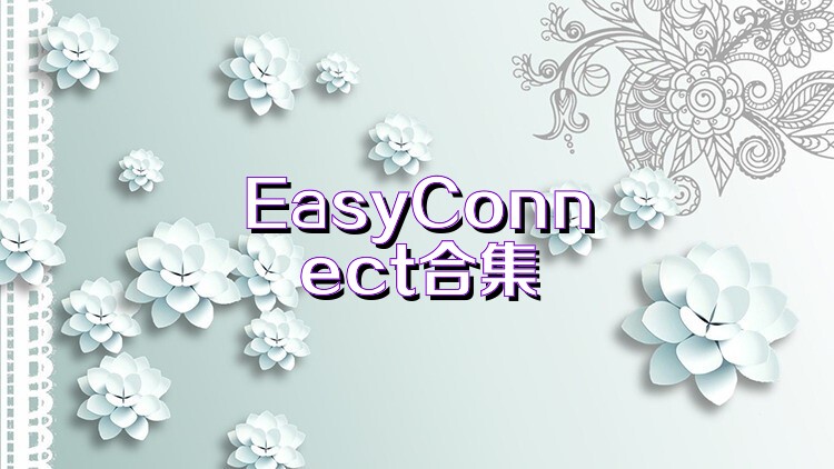 EasyConnect合集
