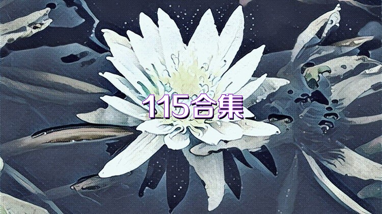 115合集