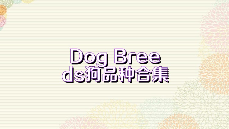 Dog Breeds狗品种合集