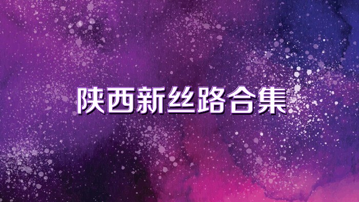 陕西新丝路合集