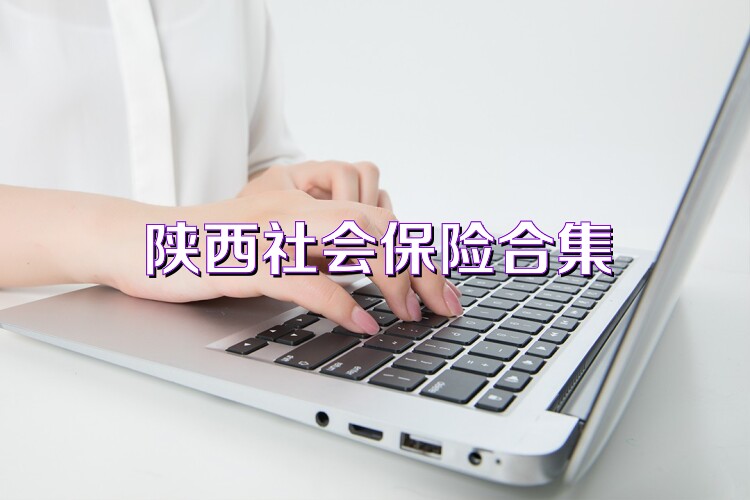 陕西社会保险合集