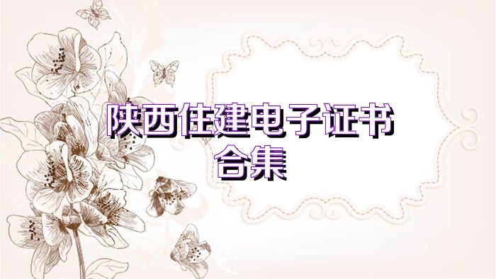 陕西住建电子证书合集