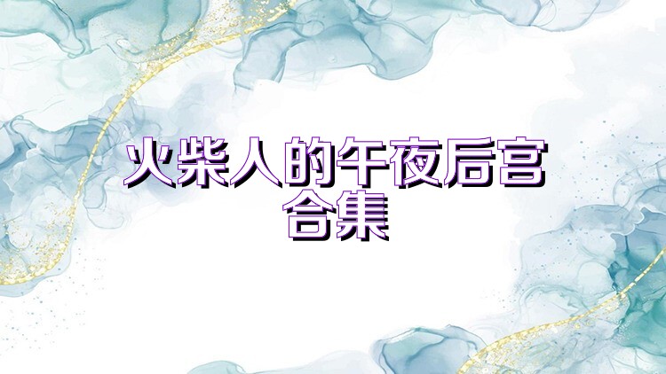 火柴人的午夜后宫合集
