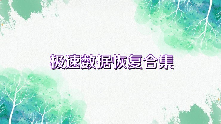 极速数据恢复合集