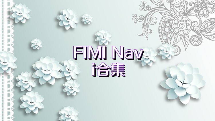 FIMI Navi合集