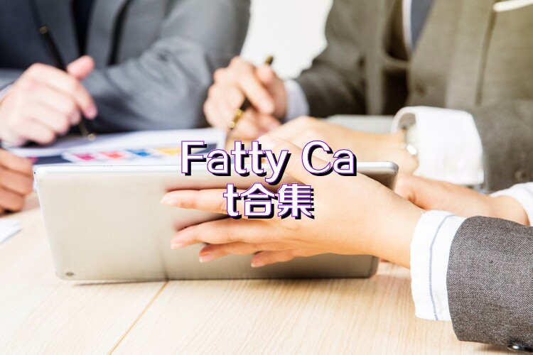 Fatty Cat合集