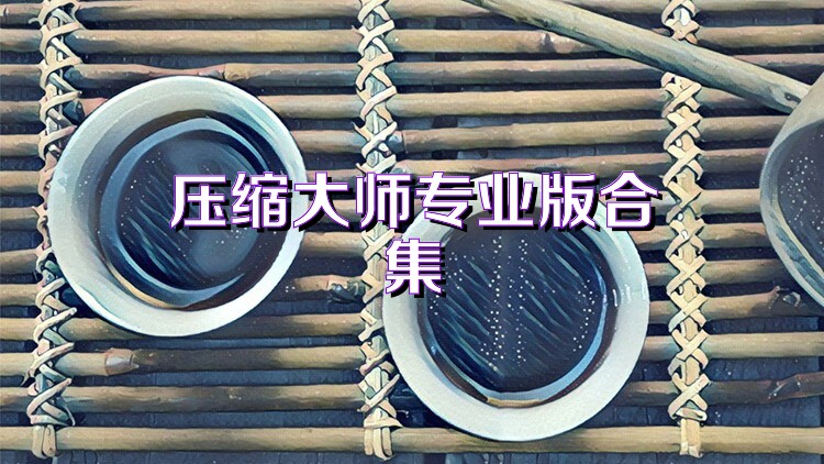 压缩大师专业版合集