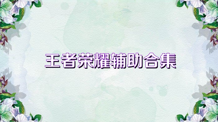 王者荣耀辅助合集