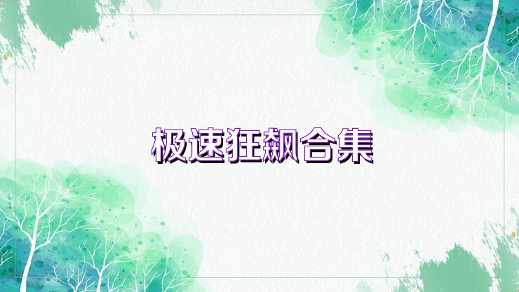 极速狂飙合集