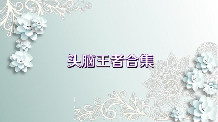 头脑王者合集