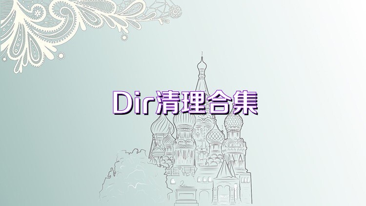 Dir清理合集