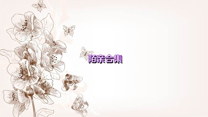 陌亲合集