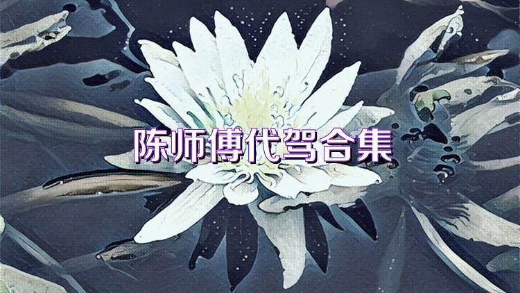 陈师傅代驾合集