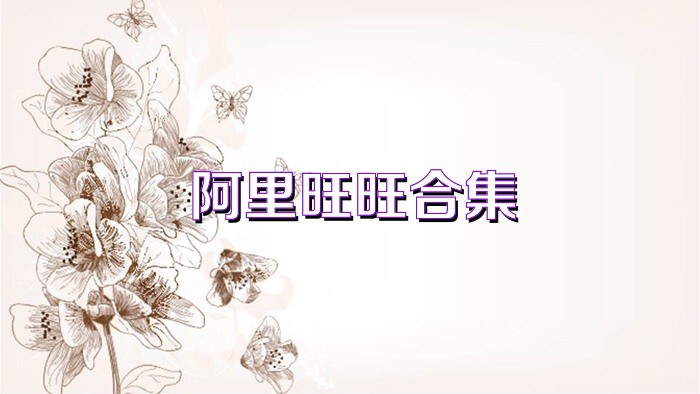 阿里旺旺合集