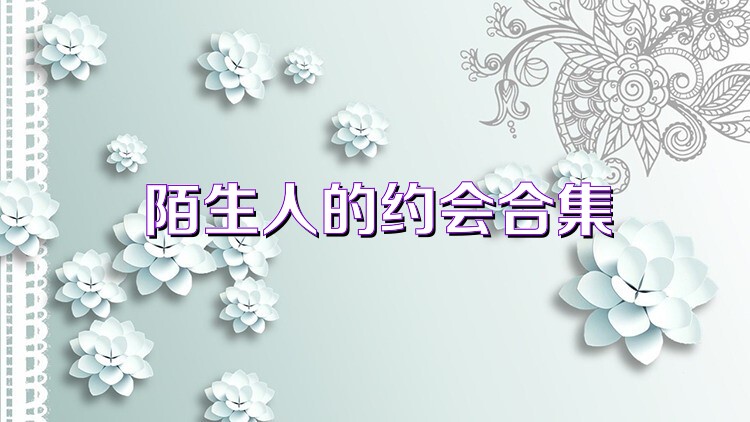 陌生人的约会合集