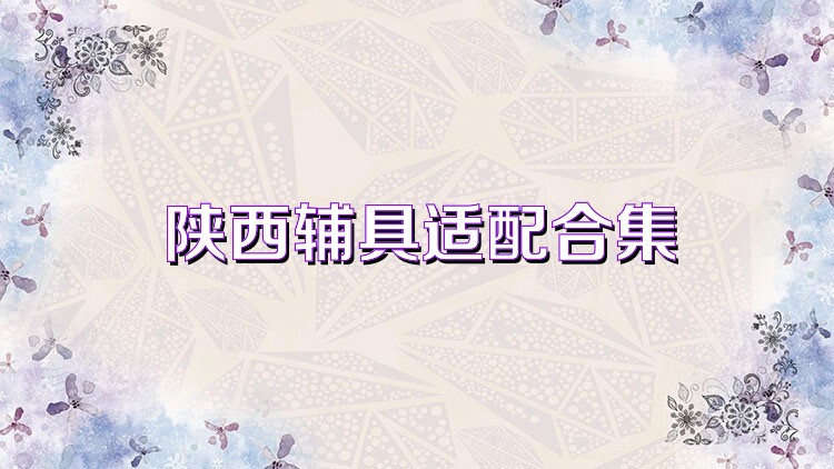 陕西辅具适配合集