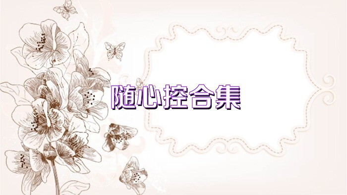 随心控合集