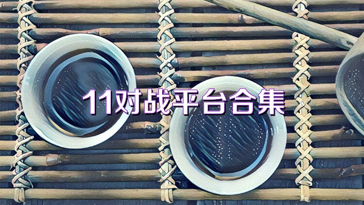 11对战平台合集
