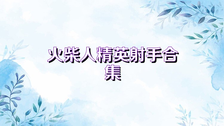 火柴人精英射手合集