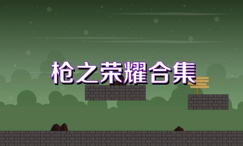 枪之荣耀合集