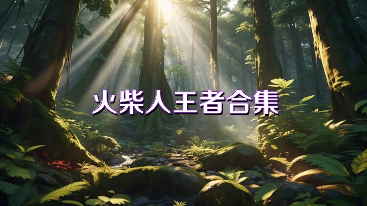 火柴人王者合集